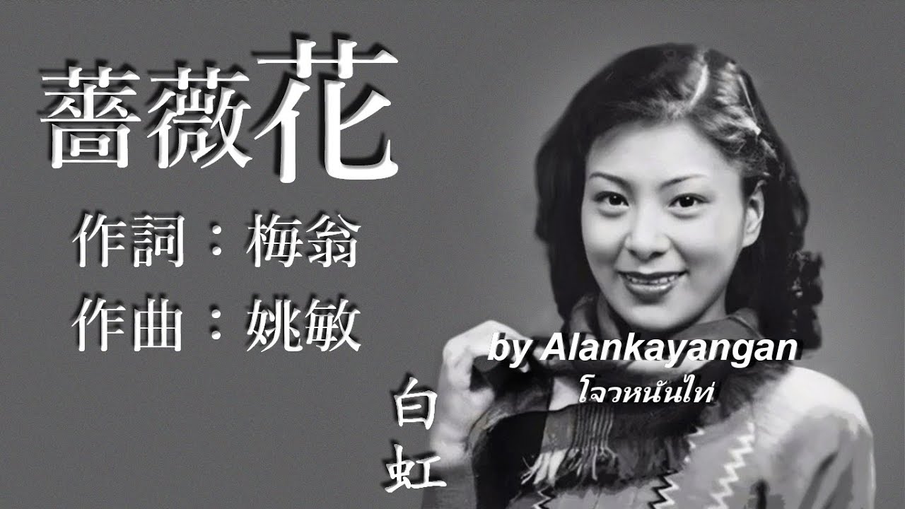 薔薇花:白虹唱（歌詞版）好歌聽出好心情。
