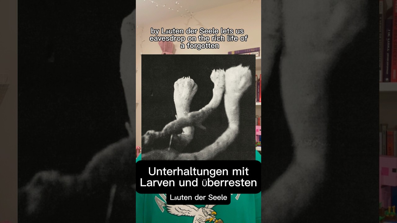 Album Review of Unterhaltungen mit Larven und &Uuml;berresten by L&auml;uten der Seele #soundcollage