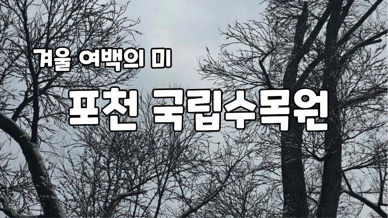 #포천 국립수목원  #겨울 #여백의 미
