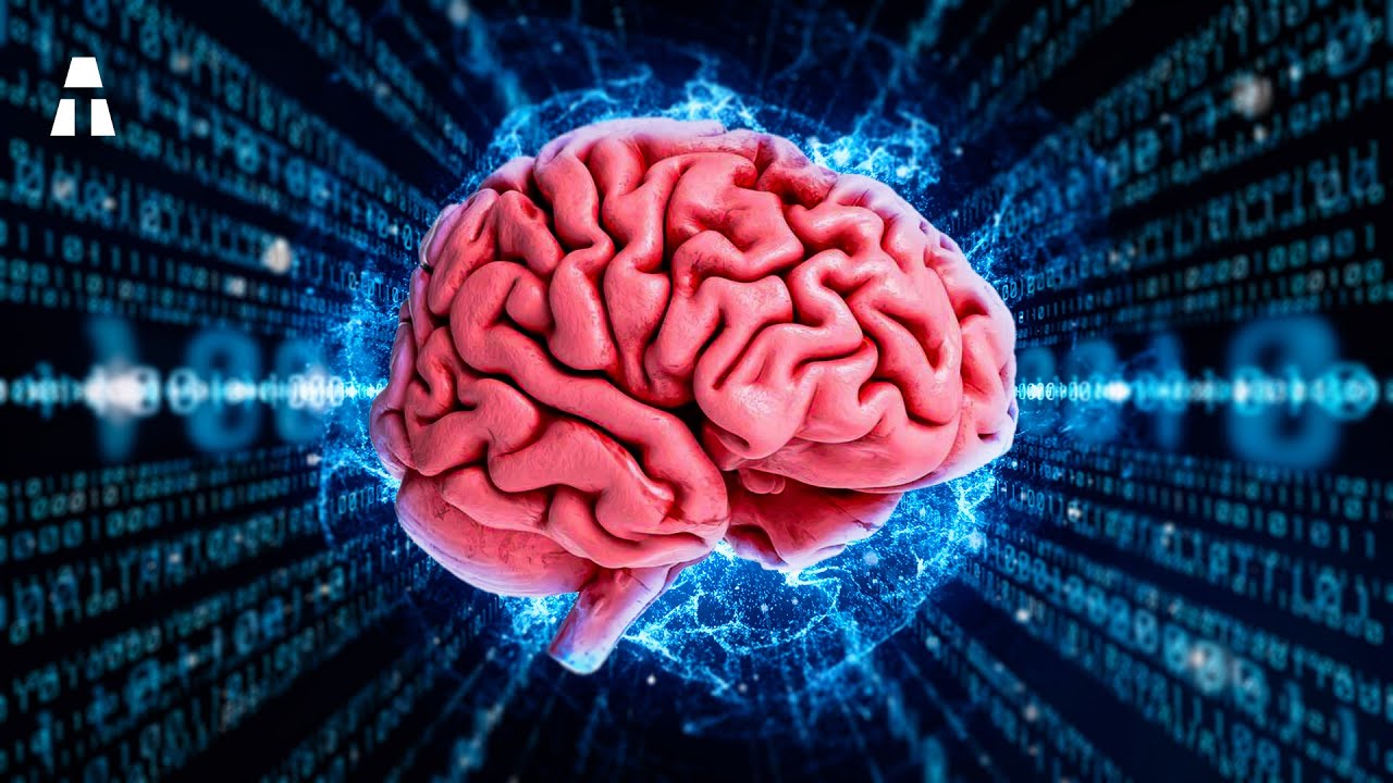 Ce Projet FOU d'Ordinateur à Partir de Cellules du Cerveau Humain !
