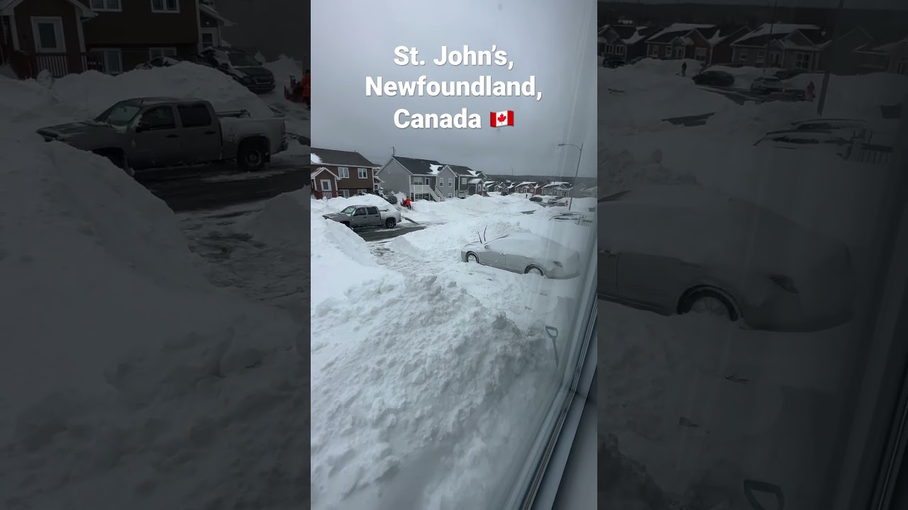 Snowy morning in St. John's, Newfoundland, Canada