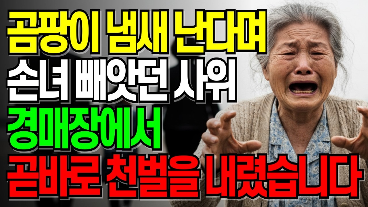 고물상 할머니 무시했다가 500억 골동품 전설이었던 순간 | 감동사연 | 노후사연 | 오디오북 | 막장사연 | 가족갈등