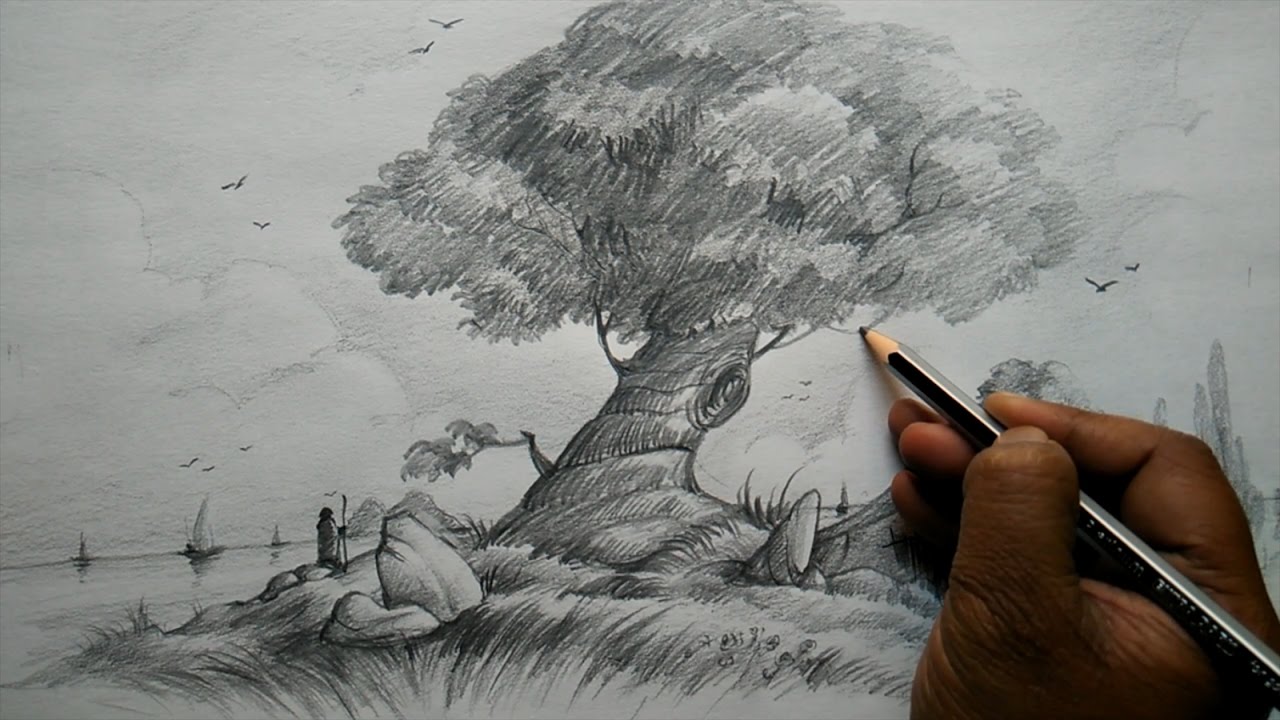 How to Draw A Tree and House with Composition for Beginners | Pencil Art