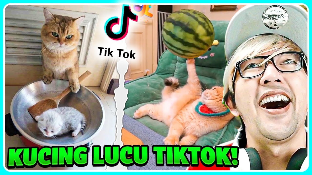 BANG CUPU REAKSI VIDEO LUCU TIKTOK!! KAGET SEUMUR HIDUP WKWKW..