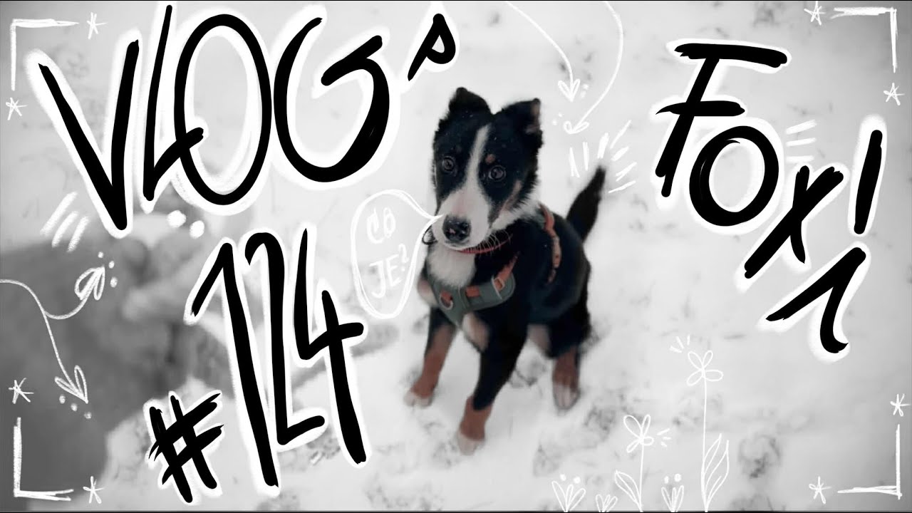 VLOGsFOXÍ #124 | Komplikované Hory 2026, sama doma!😧