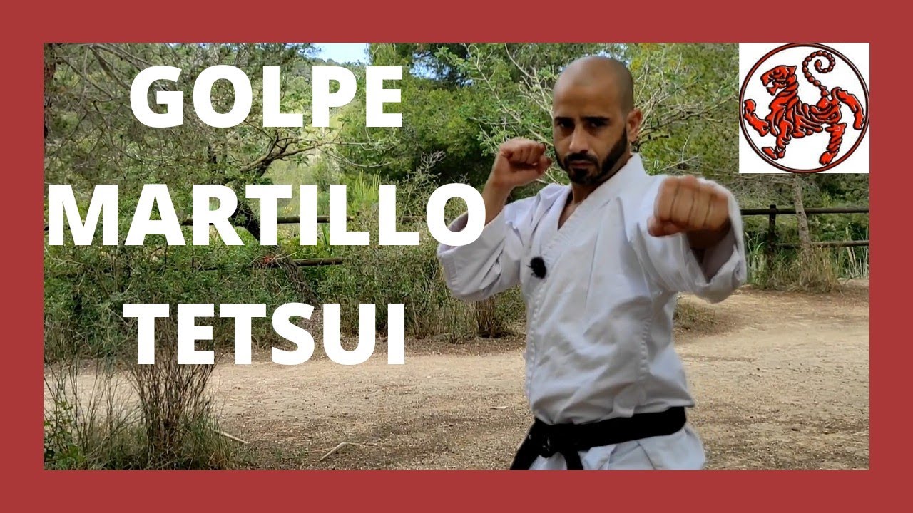 👊 🥋Golpe Martillo de karate 🔨TETSUI
