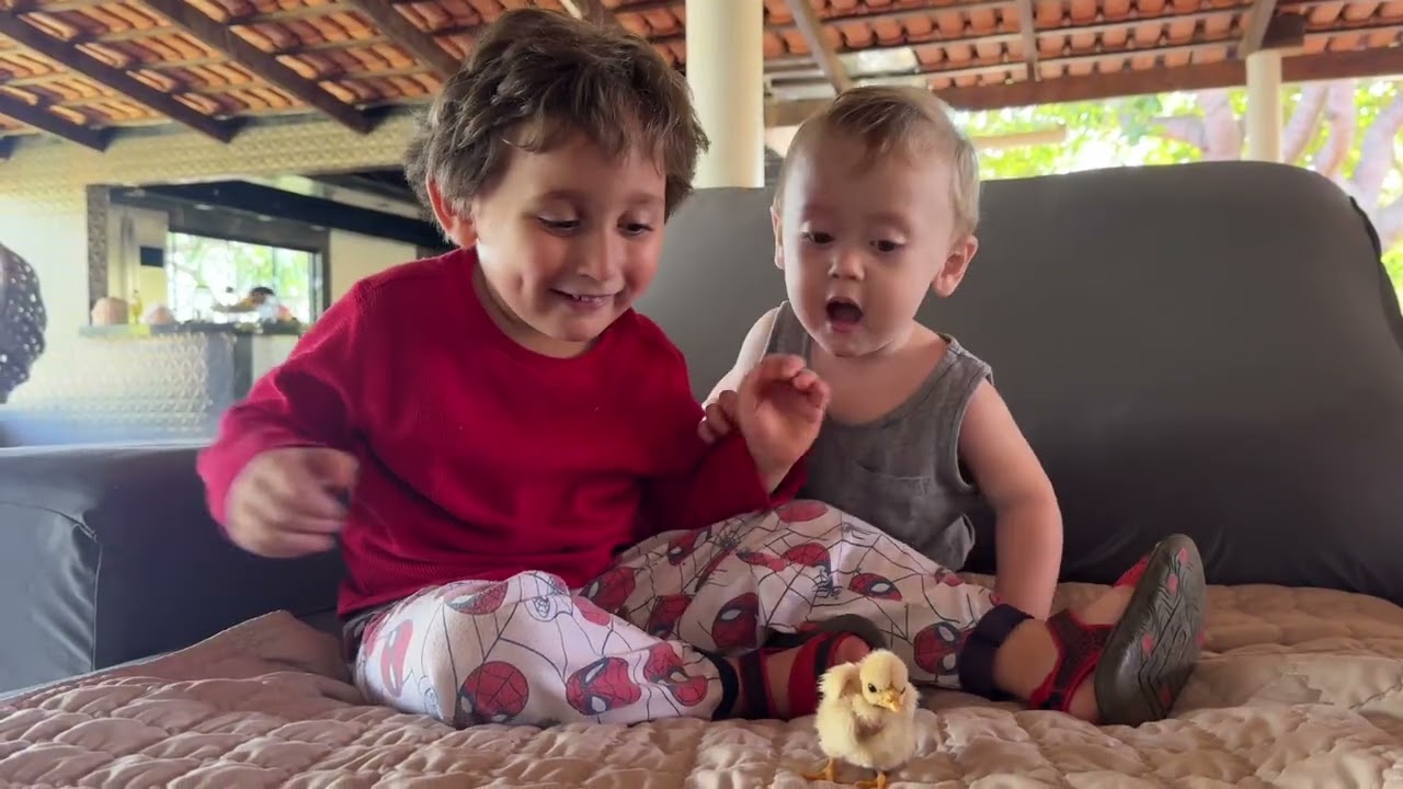 Nathan e Pietro no sítio tudo do André