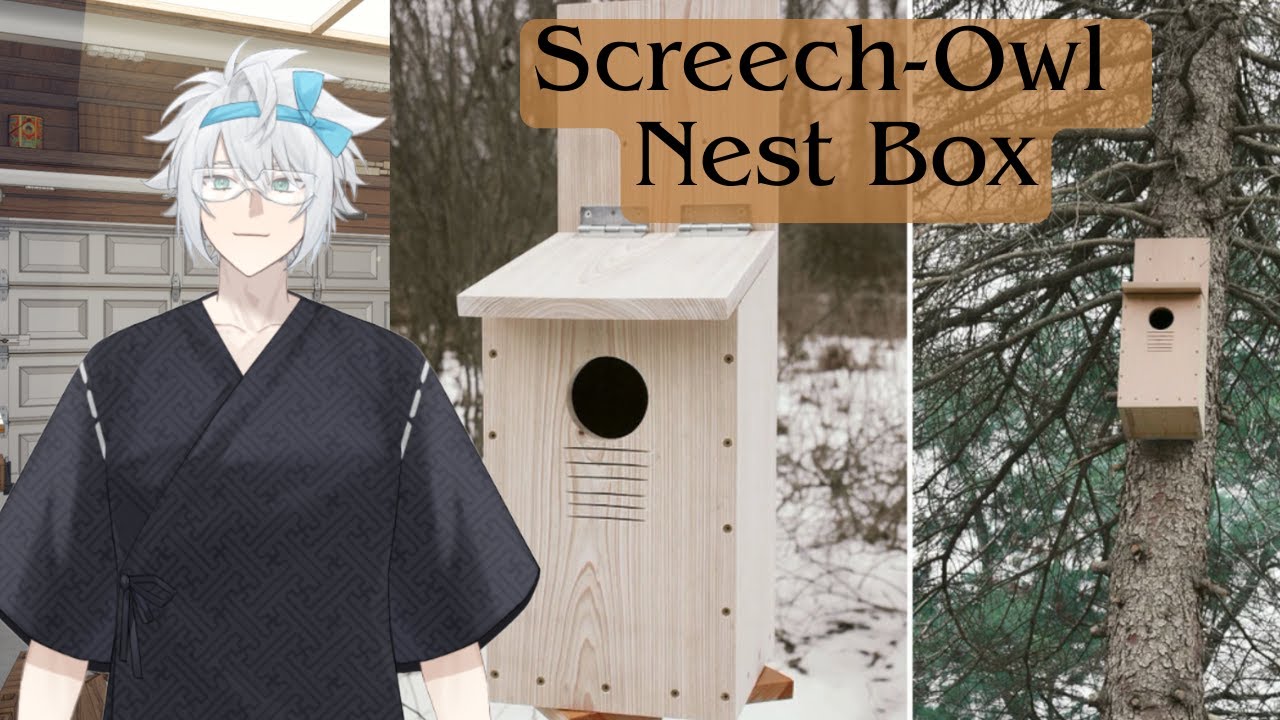 Building A Screech-Owl Nesting Box  【Handcam】