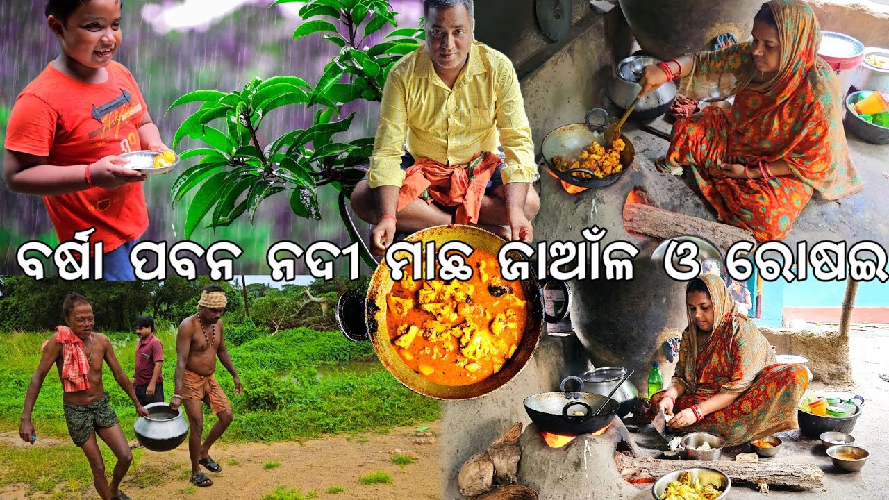ପ୍ରବଳ ବର୍ଷା ପବନ ନଦୀରୁ ମାଛ ଜାଆଁଳ ଓ ରୋଷଇ 😋 ସରିଲା l ଗଛ ଉପୁଡୁଛି @Gouranganayakodiavlogs