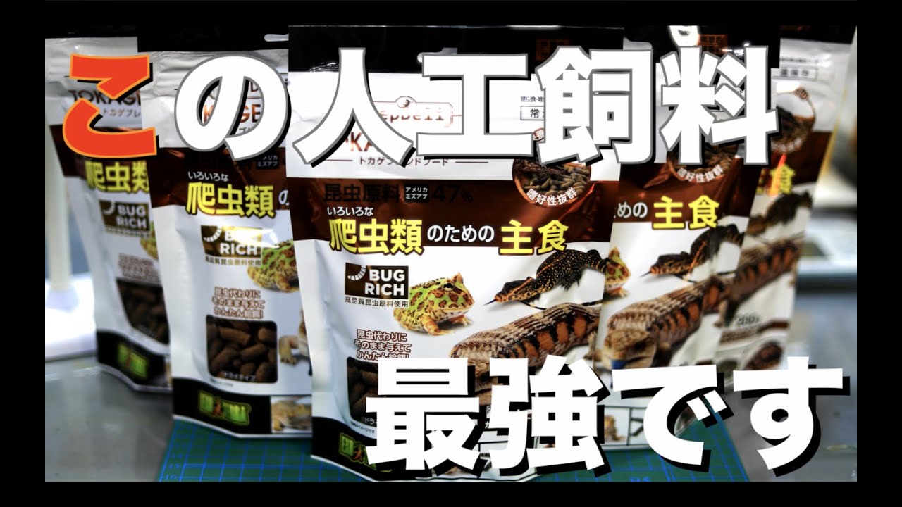 カエル飼育に最適な人工飼料見つけました。