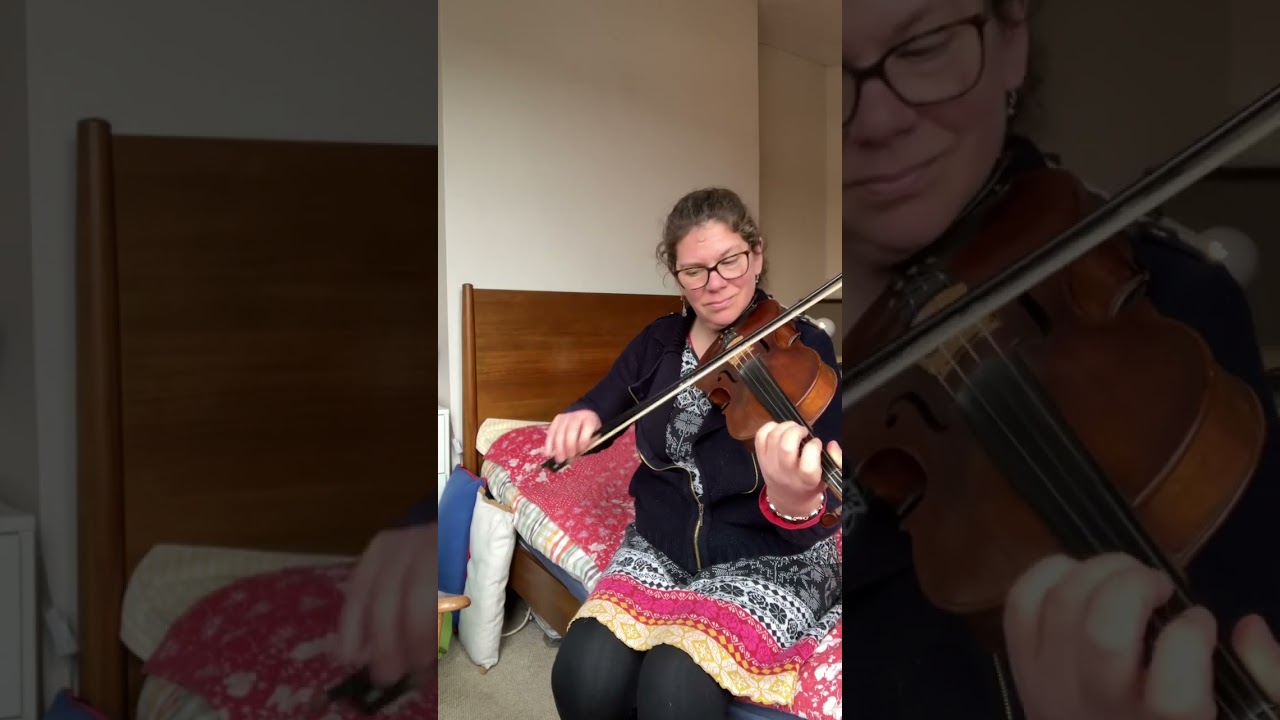 The Harp And Shamrock #week9 #52weekchallenge #hornpipe #folkmusic #fiddler #fiddleplayer #folk