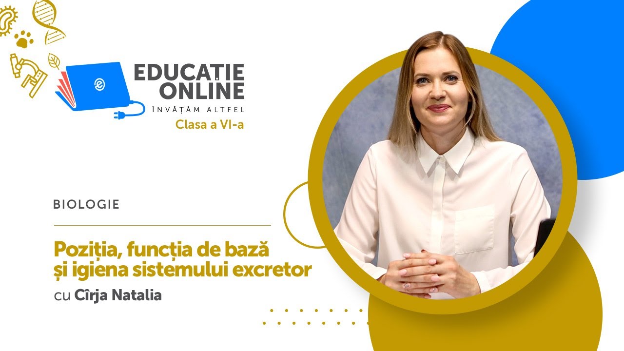 Biologie, Clasa a VI-a, Poziția, funcția de bază și igiena sistemului excretor