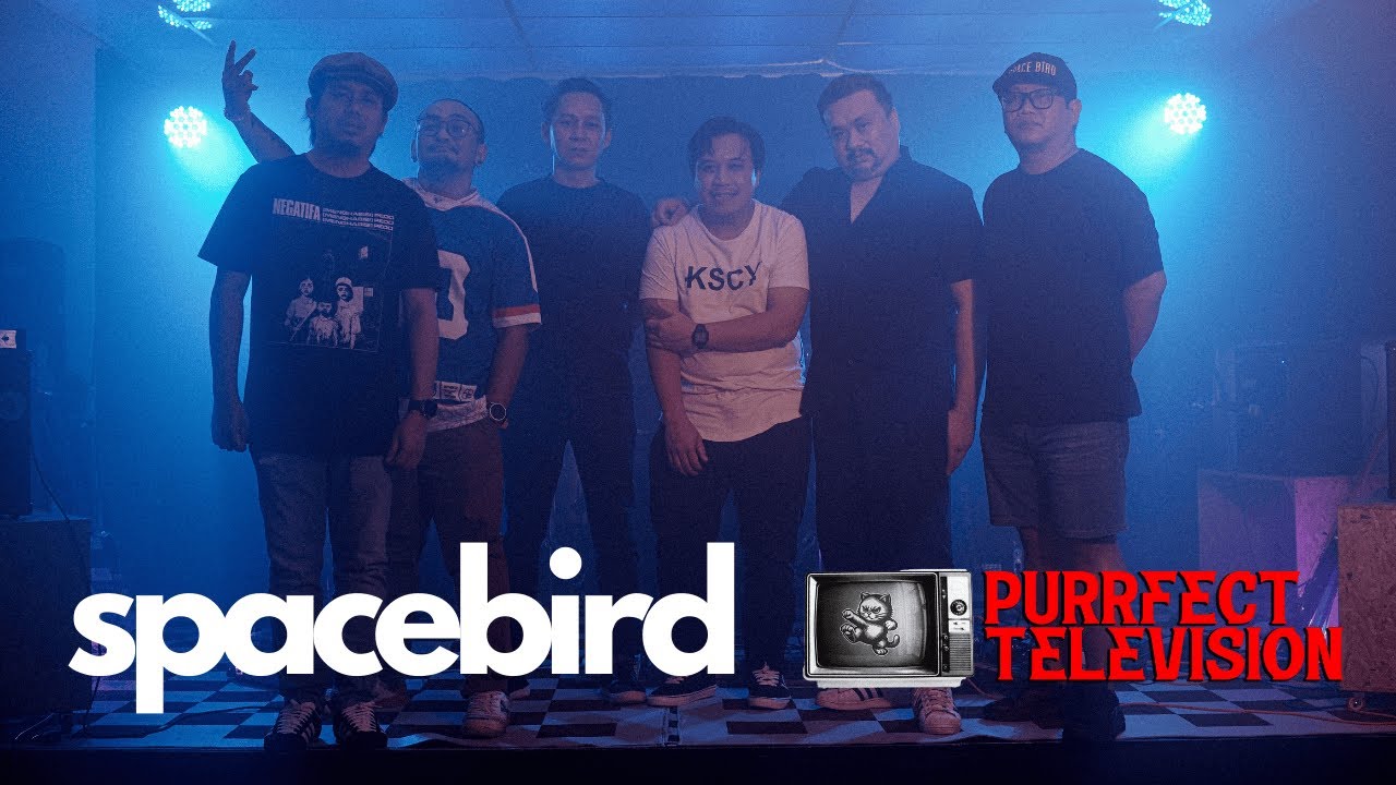 PURRFECT TV   Spacebird   Choices, Responsibility & Blessings