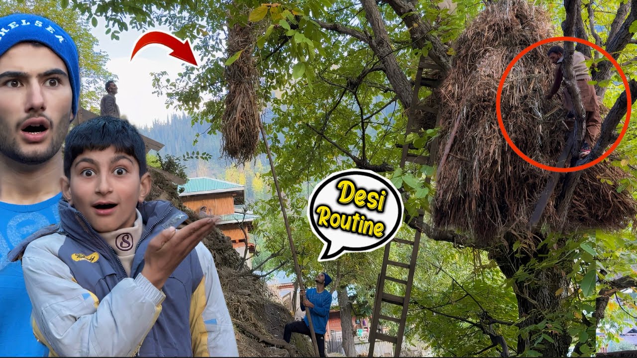 Lifting Fodder to the Tree 🌿 | Making Desi Cricket Pitch & Collecting Walnuts | ShowBoo