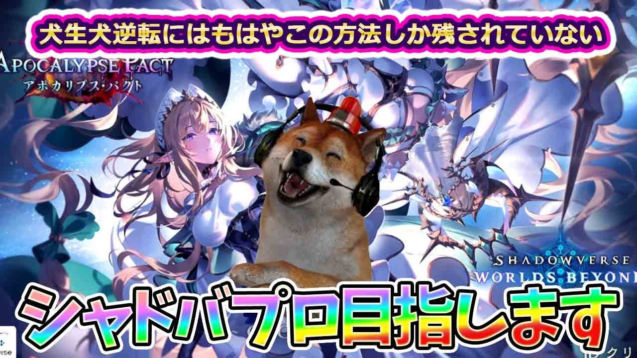 [Хорошие новости] С сегодняшнего дня канал возрождается как «Shadowverse 1 Million Subscribers Ch...