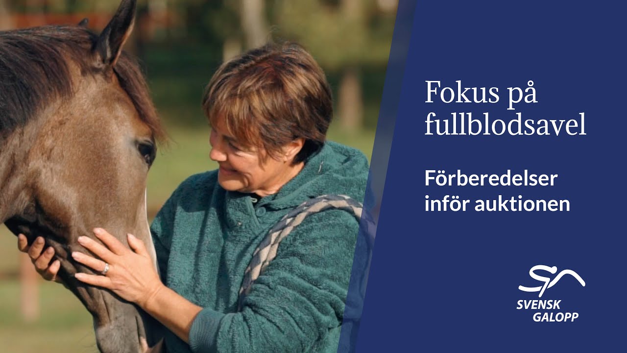 Förberedelser inför åringsauktionen - Eva Isacsson Sjunnesson