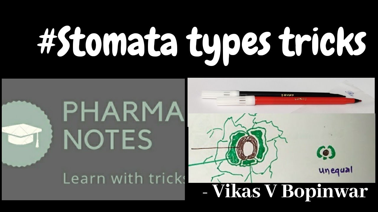 #STOMATA #TRICKS #PHARMACOGNOSY #GPAT #NIPER #RRB #ESIC #PHARMACIST EXAMS