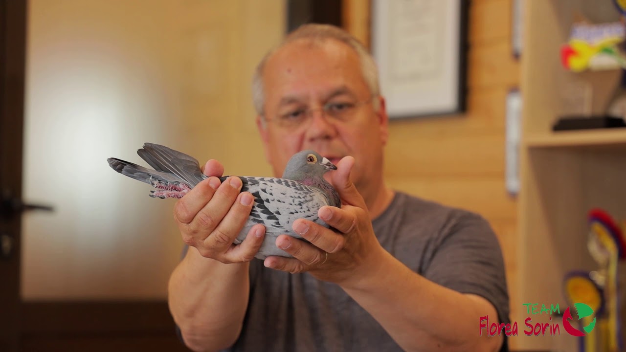 Vizita partenerilor TEAM Florea Sorin din Taiwan - ziua a 2-a - mai 2019