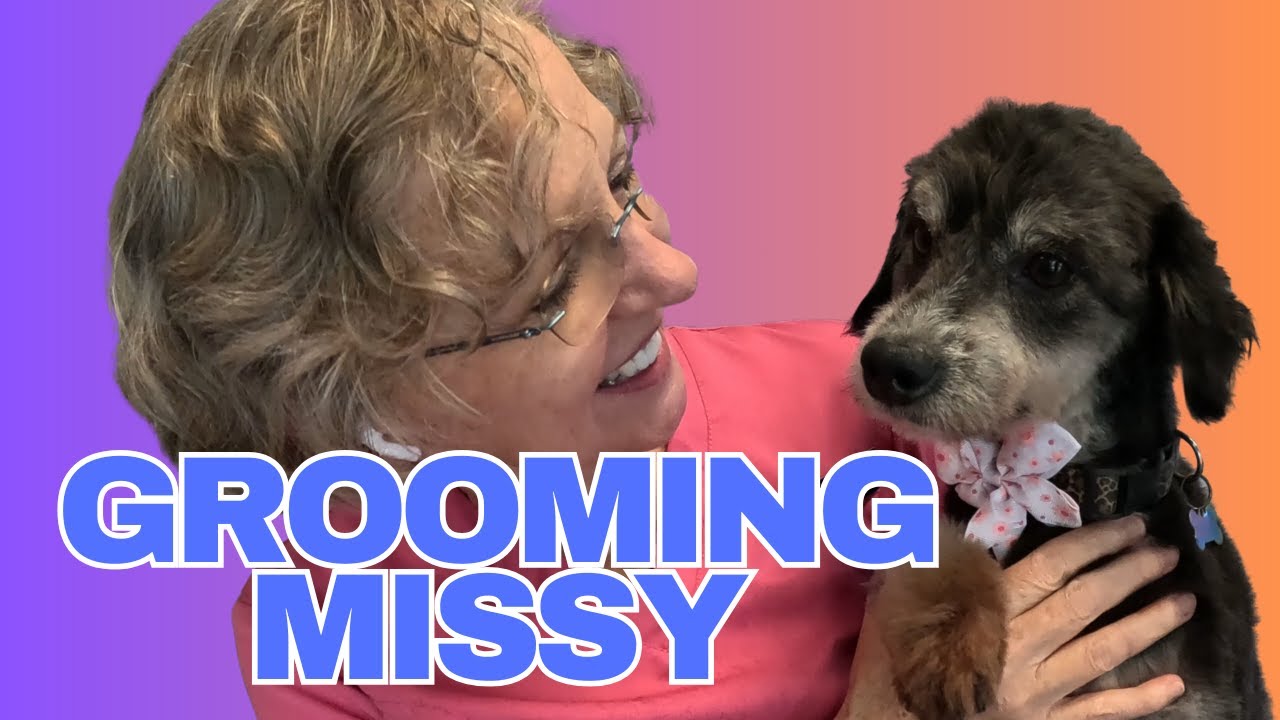 Missy the Chinese Crested Powderpuff Gets Groomed