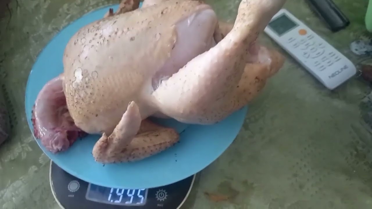 Крыша на беседке готова!