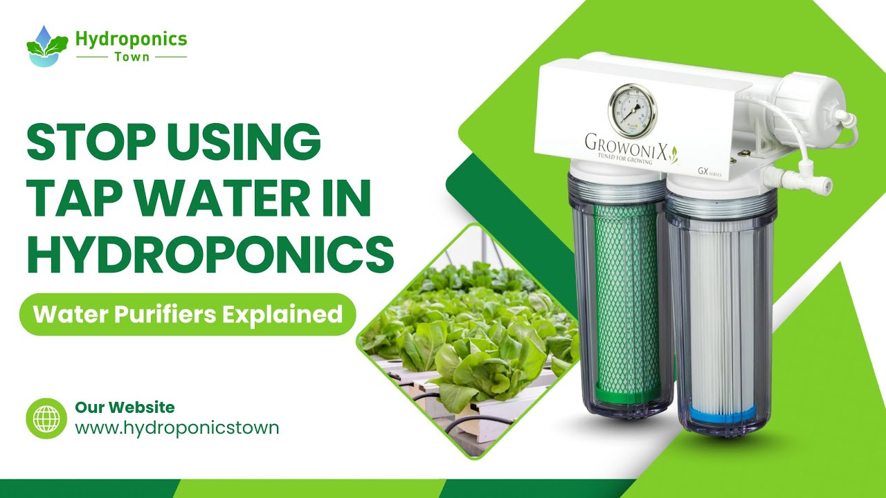 Hydroponics Water Purifiers Explained: Boost Growth with Clean Water - HydroponicsTown