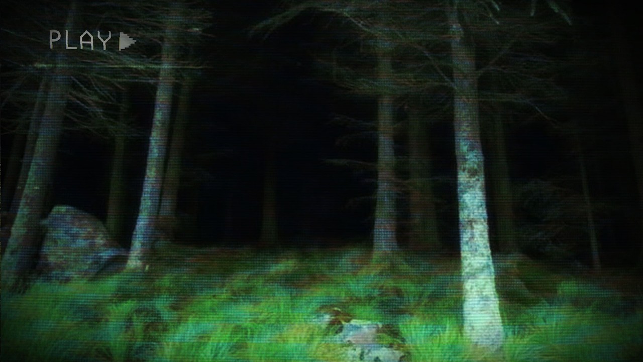 5 TRUE National Park Horror Stories (That You Haven't Heard Before)