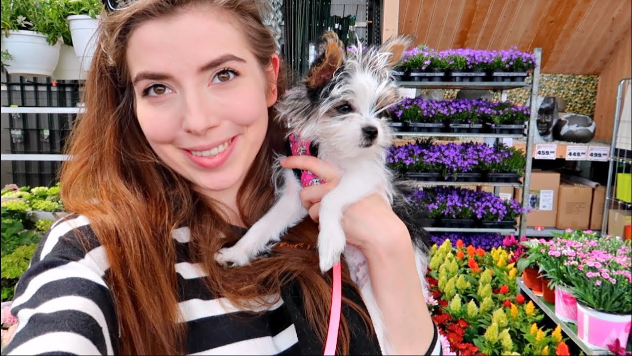 ZAKUPY Z PANDĄ 🐼 *vlog*