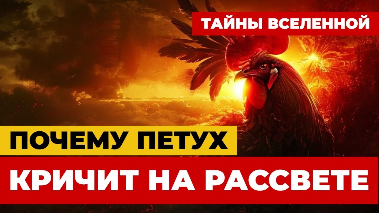 Алектрион — смертный, ставший голосом утра