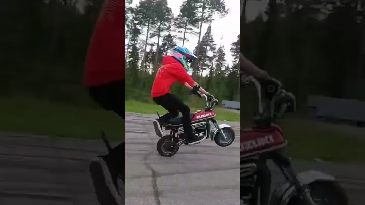mankilla tarakalle  melkein kuolin