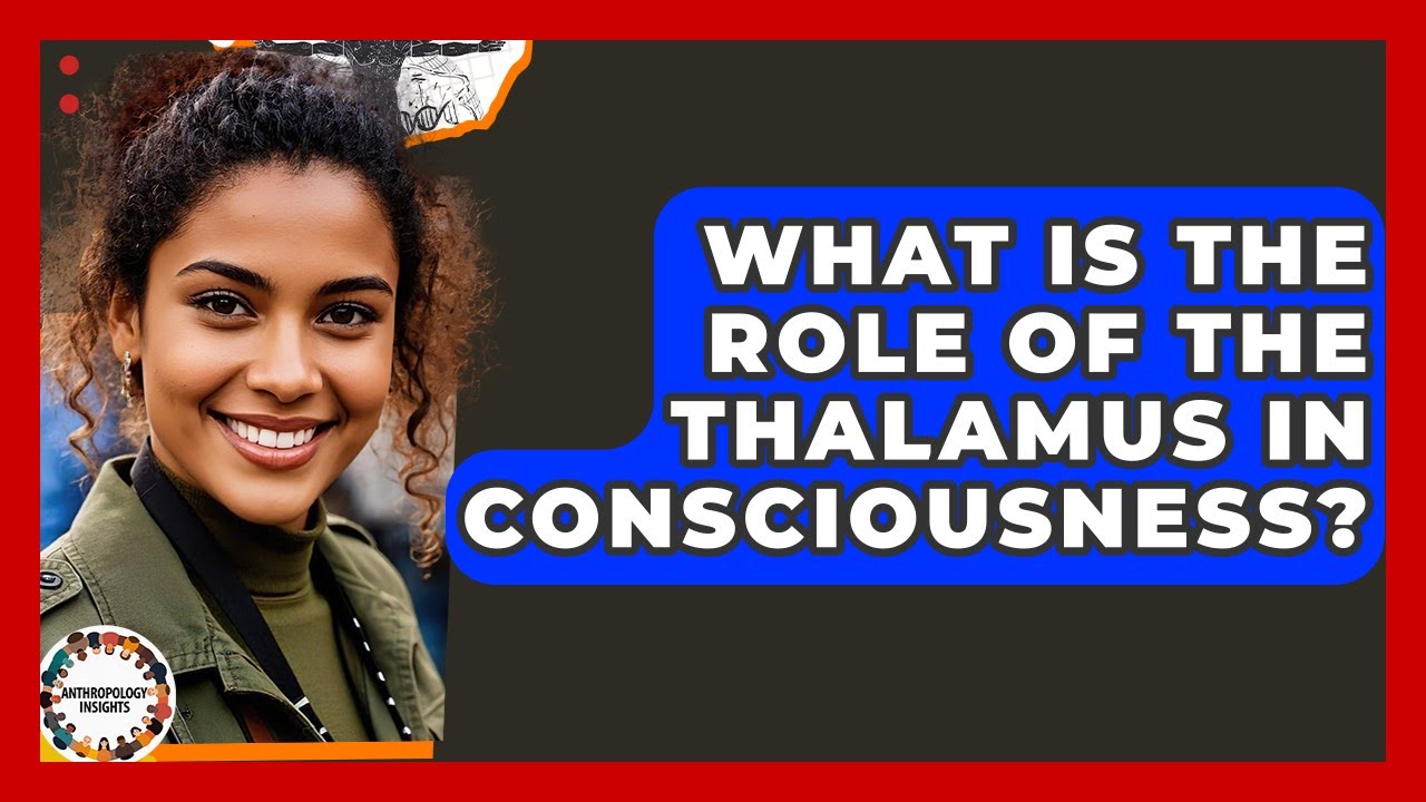 What Is The Role Of The Thalamus In Consciousness? - Anthropology Insights