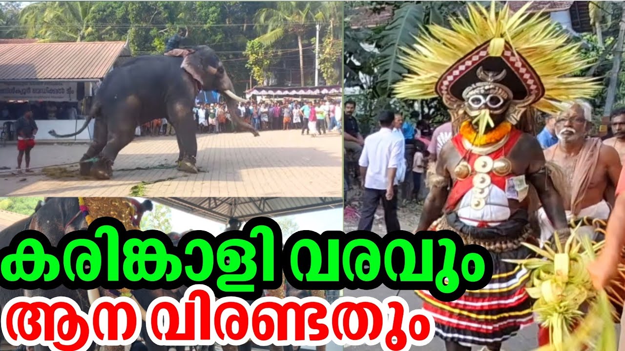 മൂക്കുതല കണ്ണേങ്കാവ് വേല | mookkuthala kannenkavu  vela | rajukottakkal