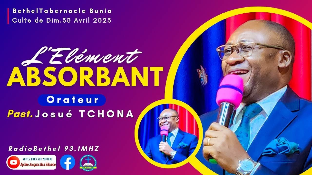 L'ELEMENT ABSORBANT