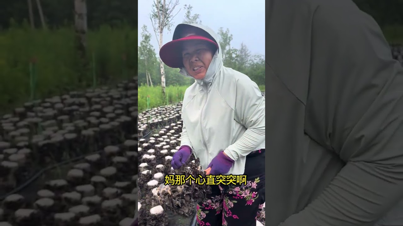 #原创视频 #我的乡村生活 #三农 #户外