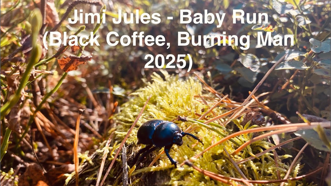 Jimi Jules - Baby Run (Black Coffee remix, Burning Man 2025) 
