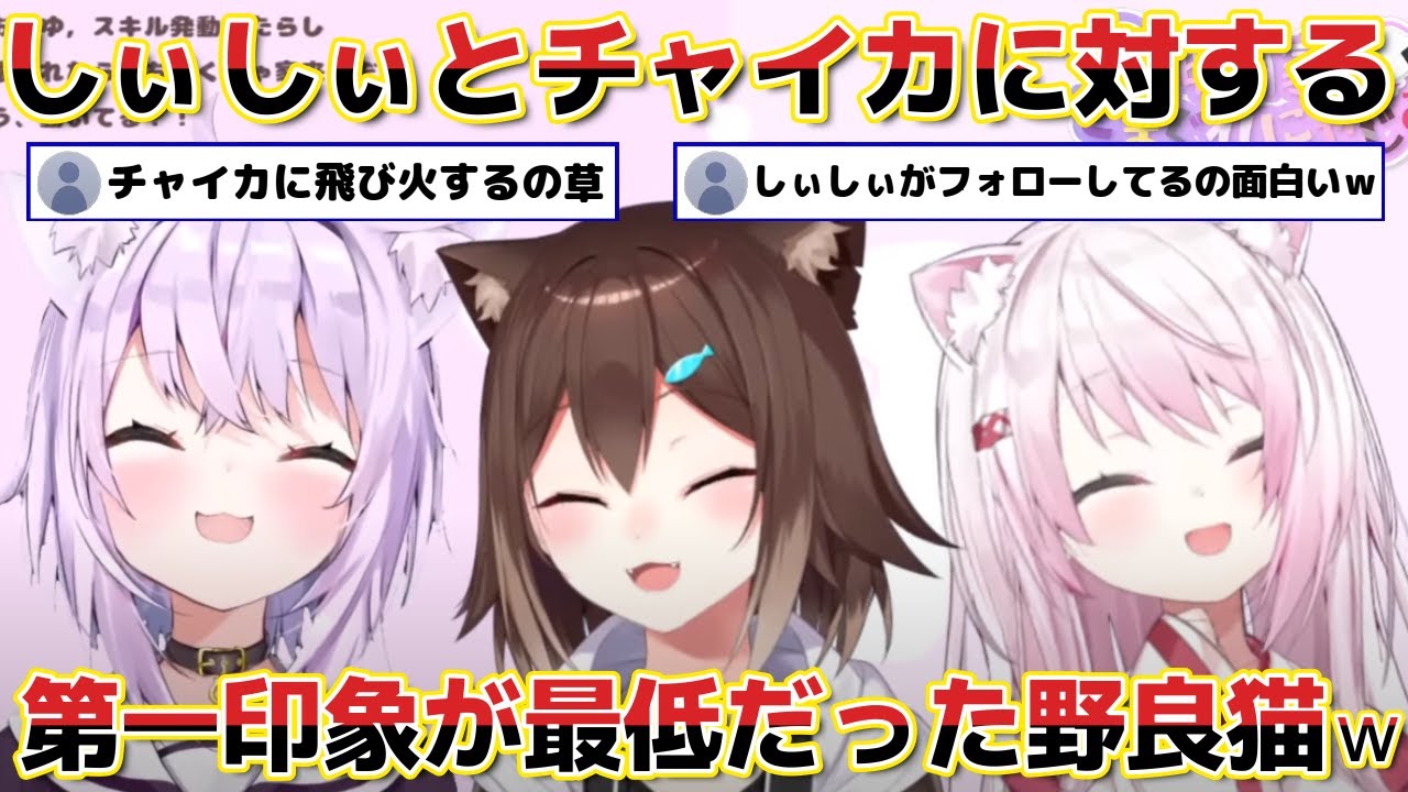 【神岡家】野良猫の発言でチャイカに飛び火し思わずフォローするしぃしぃｗ【ホロライブ にじさんじ 切り抜き 猫又おかゆ/椎名唯華/文野環】