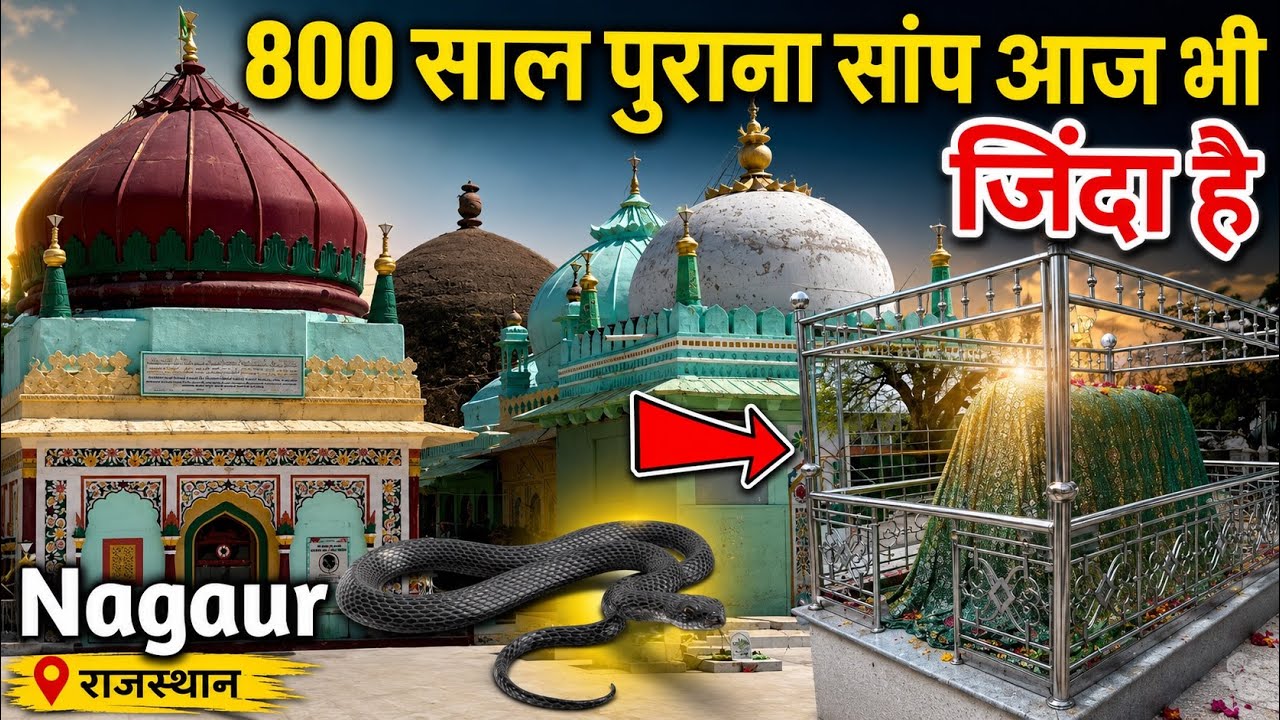Nagaur Sharif Ki Live Karamat | 800 Saal Purana Saanp Aaj Bhi Zinda Hai 😱 | Abdul Wahab Jilani Qadri