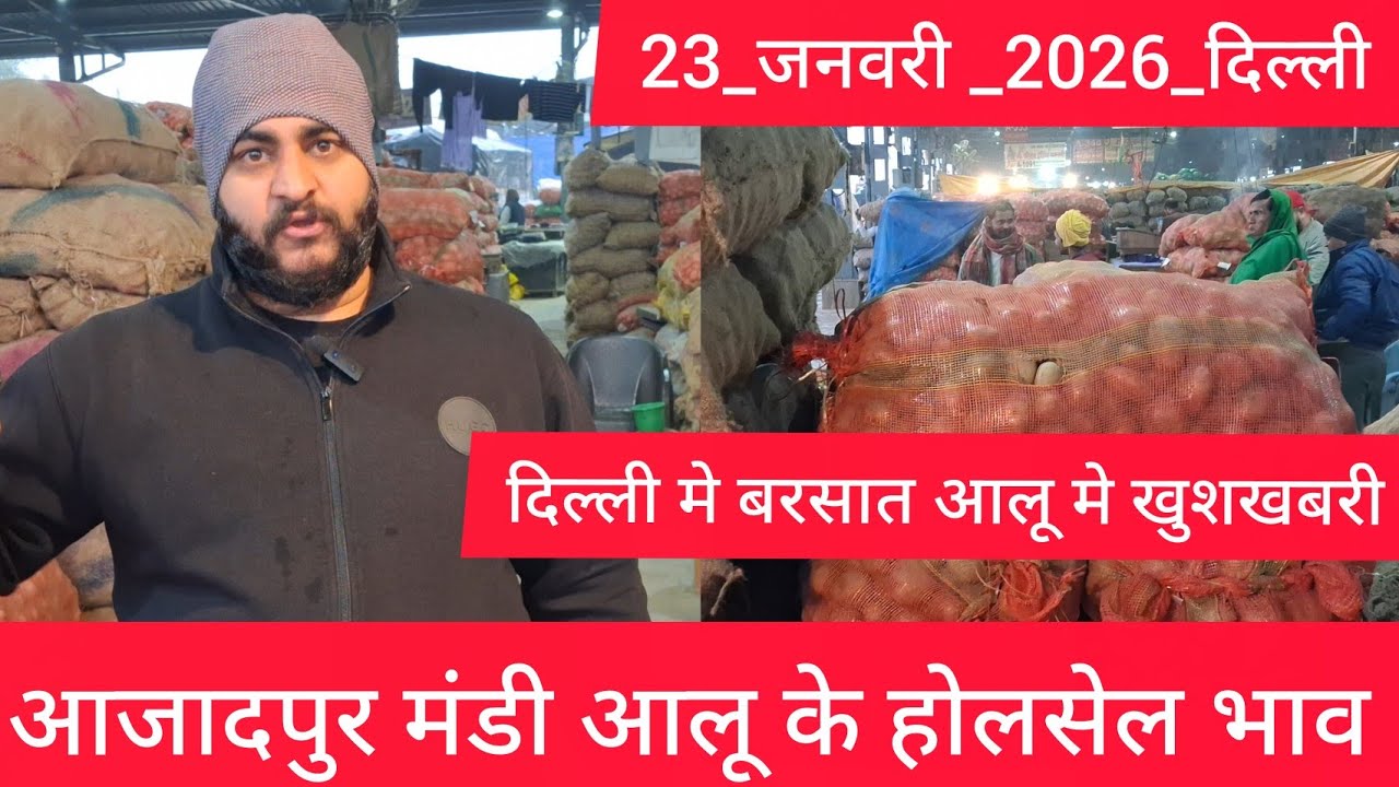 January 23, 2026 दिल्ली 🥔आलू के भाव Azadpur Delhi mandi today #PotatoMarket #delhipotatomarket 