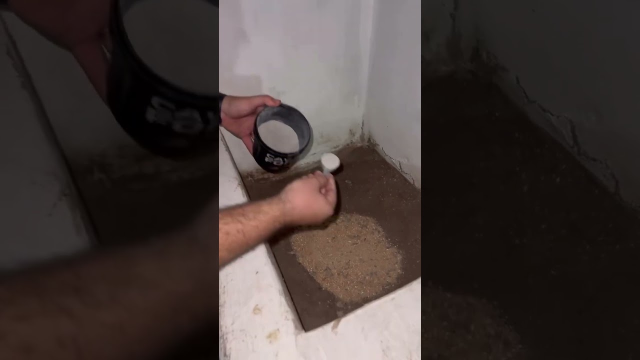 Melhor suplementa&ccedil;&atilde;o de cavalo @cavaloforteoficial  #cavaloforte #suplementos #cavalo