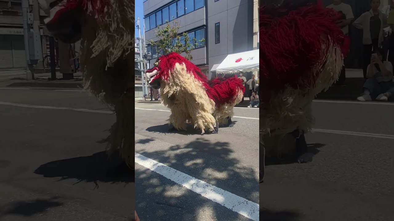 Dragon dancer