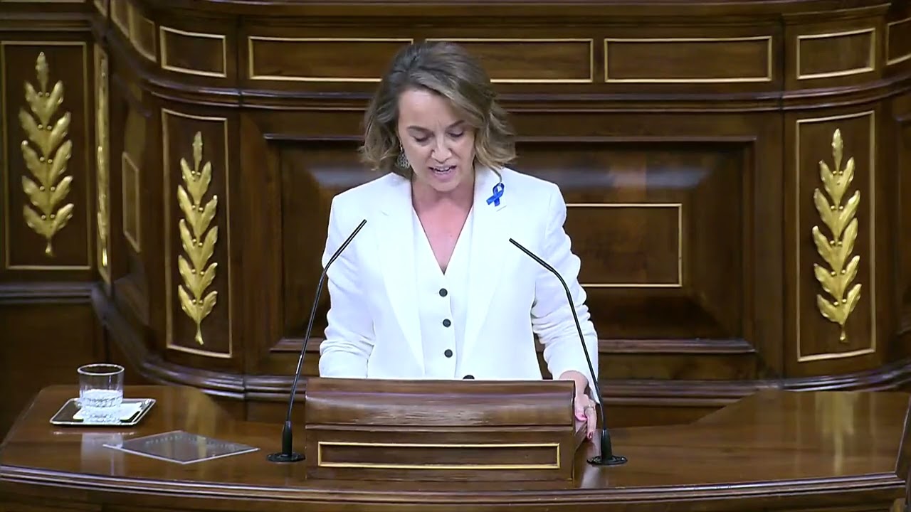El Congreso guarda un minuto de silencio en homenaje a Miguel Ángel Blanco
