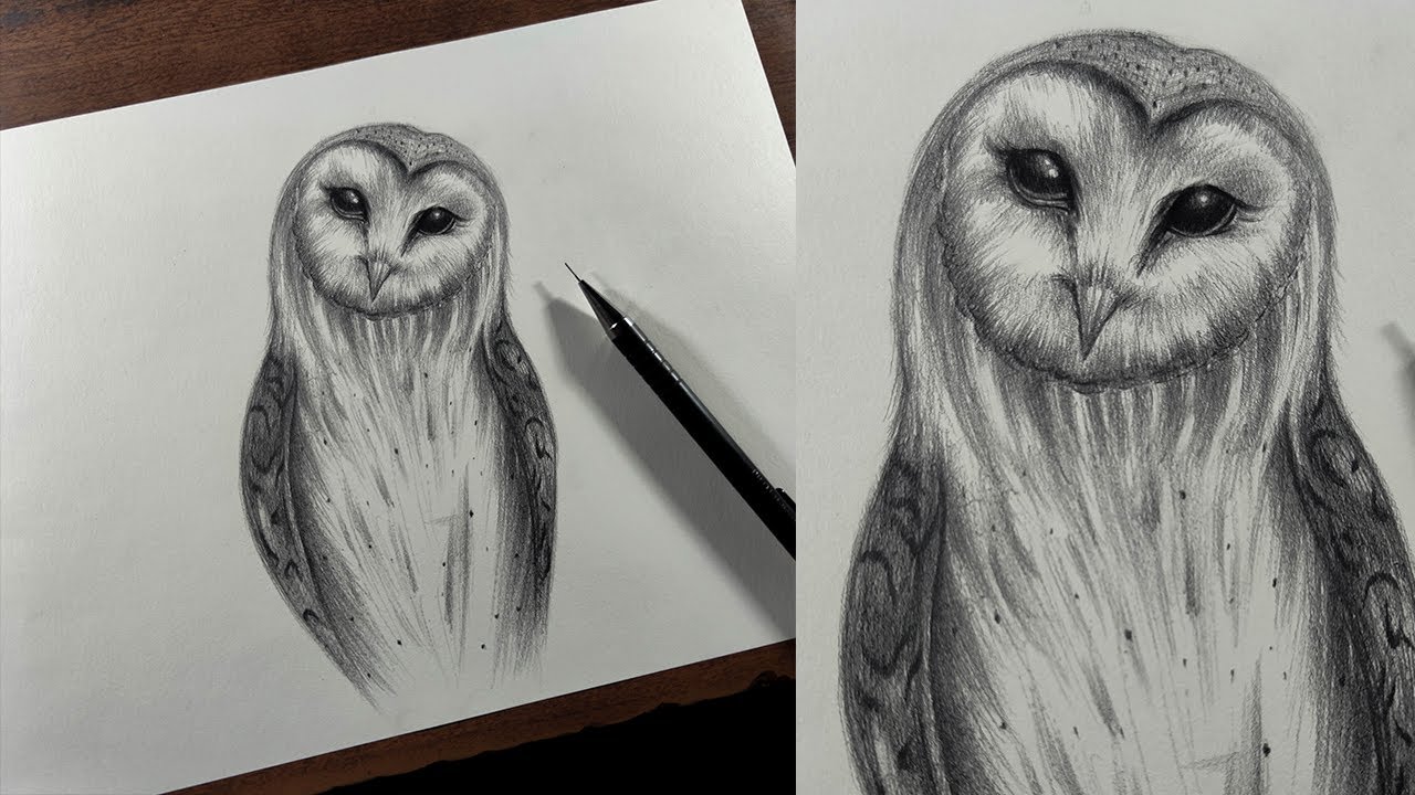 Cómo Dibujar una LECHUZA a Lápiz Paso a Paso - (Muy FÁCIL)