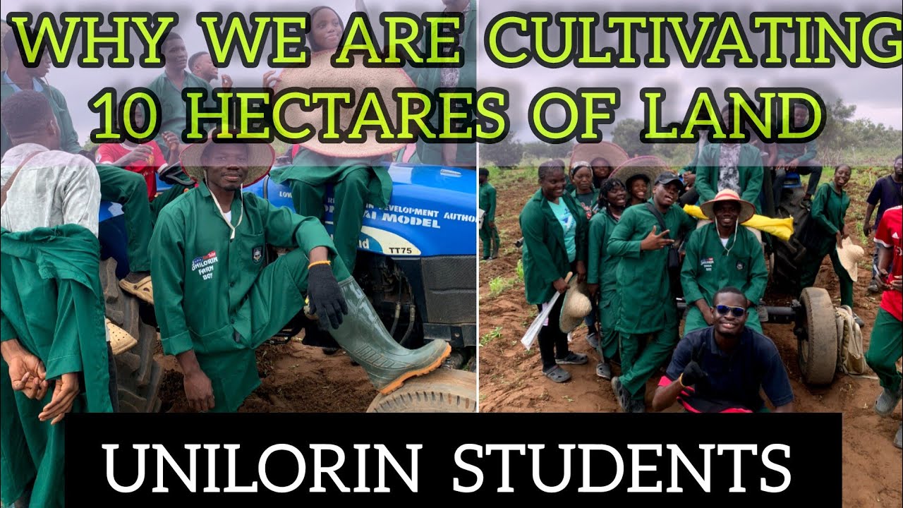WE ARE CULTIVATING 10 HECTARES OF LAND: UNILORIN STUDENTS.