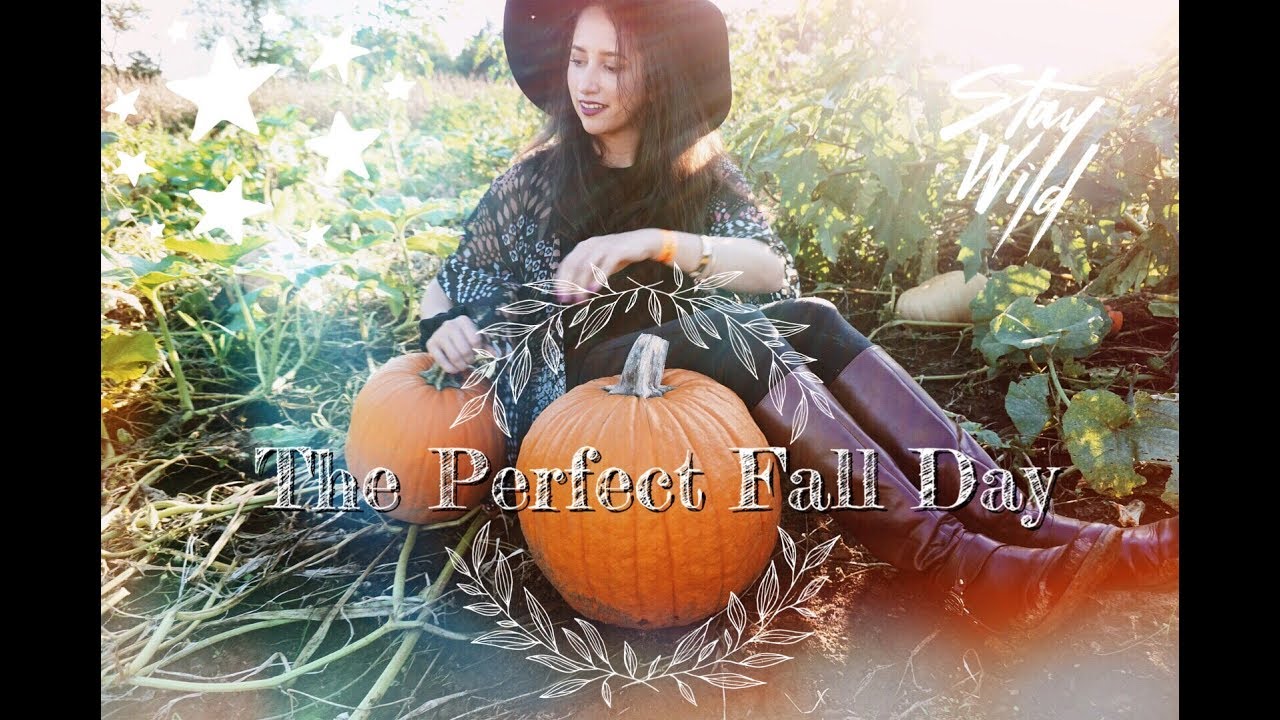 The Perfect Fall Day + Bookstore  :)