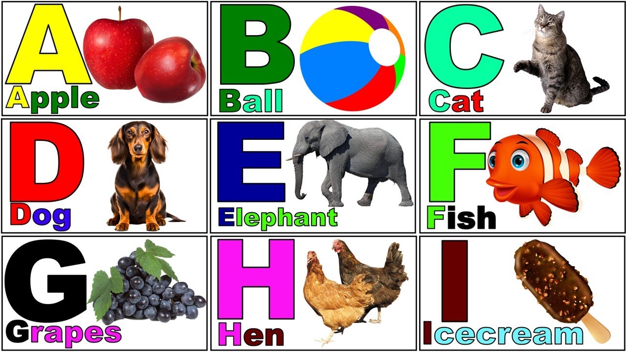 English alphabets learning video/abcd / a for apple /a to z @PRINIT1419
