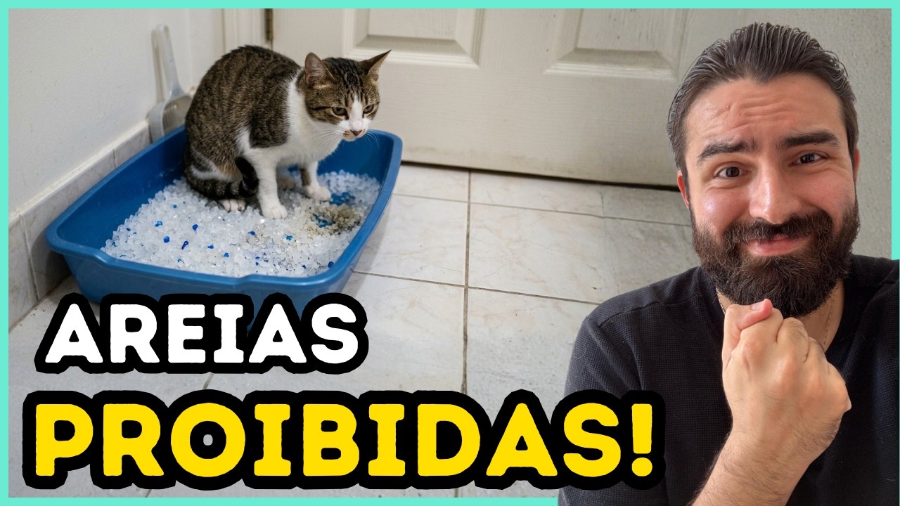 Se Você Usa ESSAS Areias, Esteja Ciente Dos POTENCIAIS Problemas Aos Gatos!