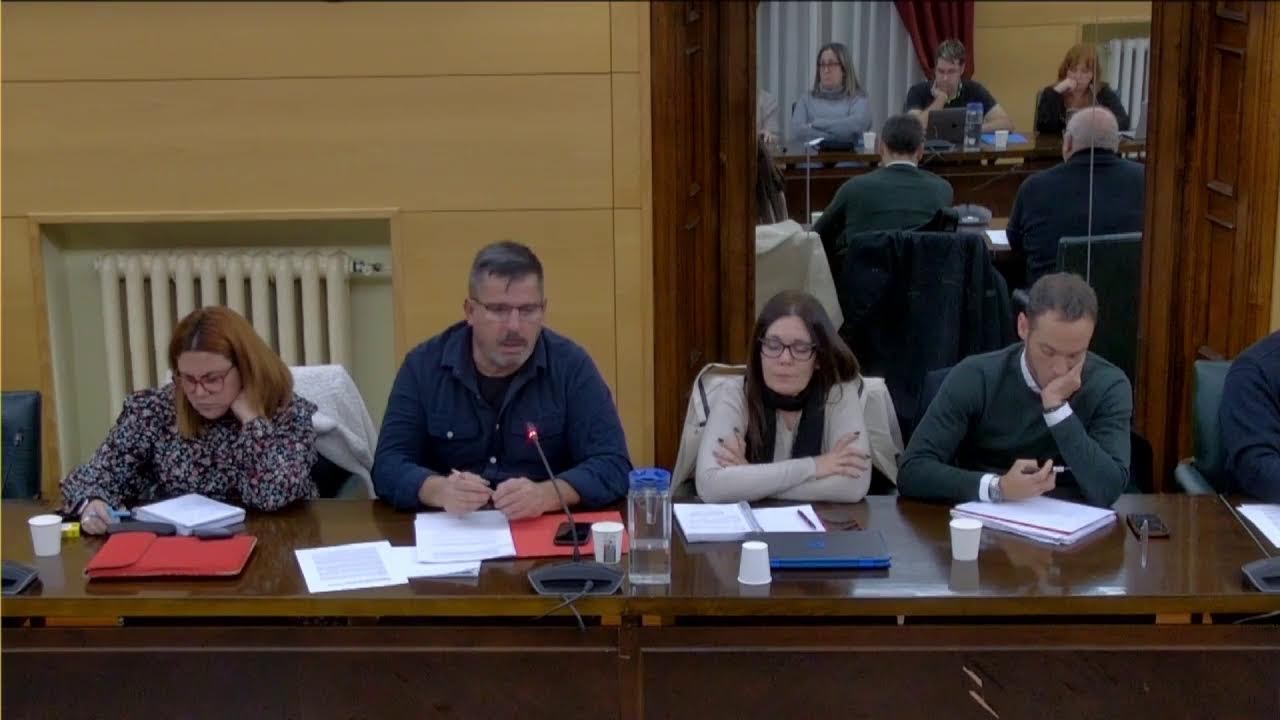 Pleno ordinario  29/01/2026
