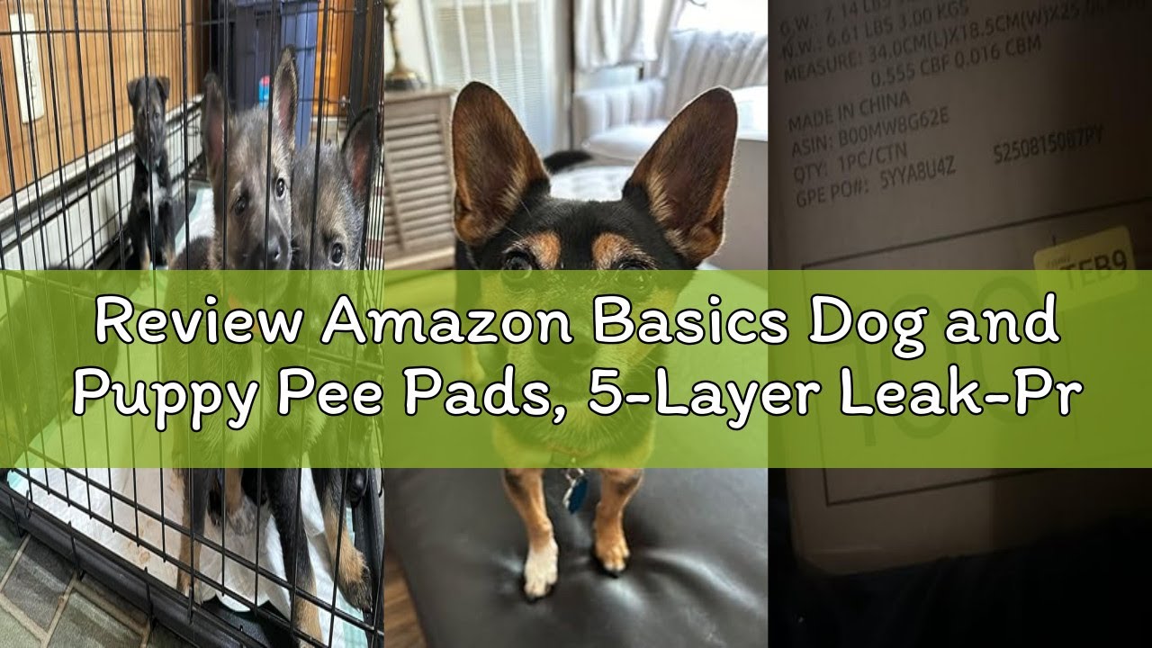 Review Amazon Basics Dog and Puppy Pee Pads, 5-Layer Leak-Proof Super Absorbent, Quick-Dry Surface,