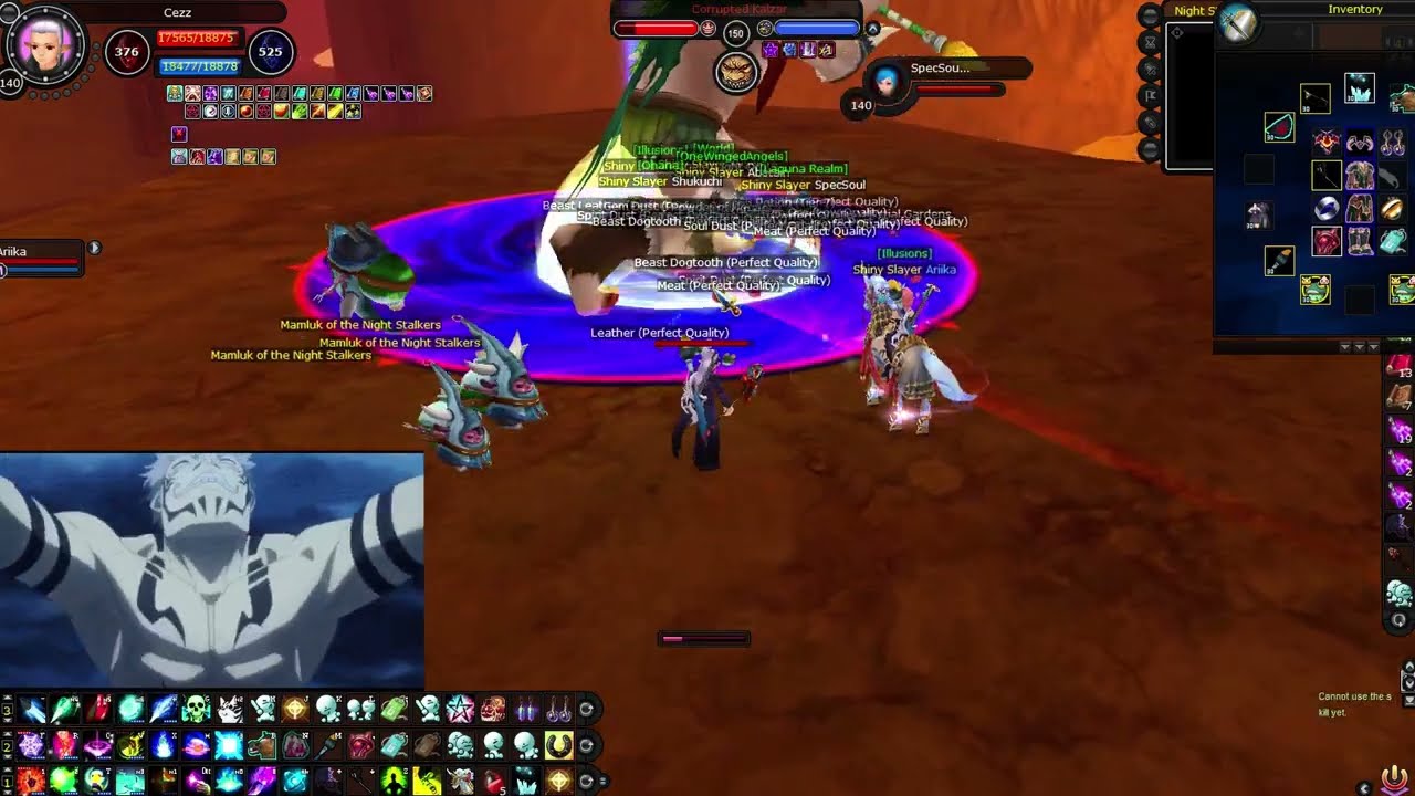 Fiesta Online NSH (6 people + wl ddf bot)