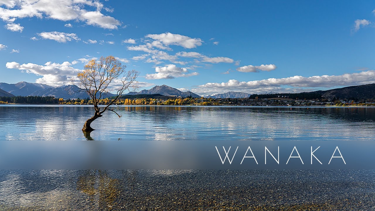 Autumn Walk Around Wanaka, New Zealand | The Home of #ThatWanakaTree [Binaural 4K]