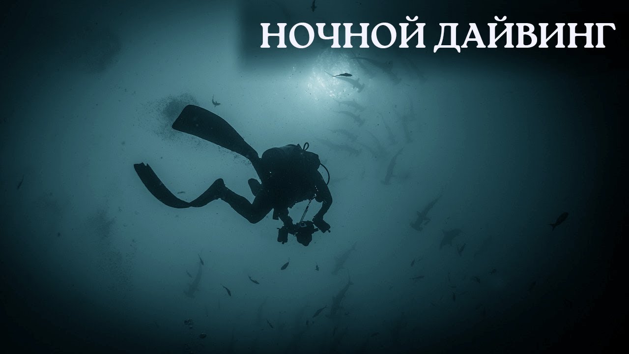 НОЧНОЙ ДАЙВИНГ в Красном Море // NIGHT DIVING  in the Red Sea